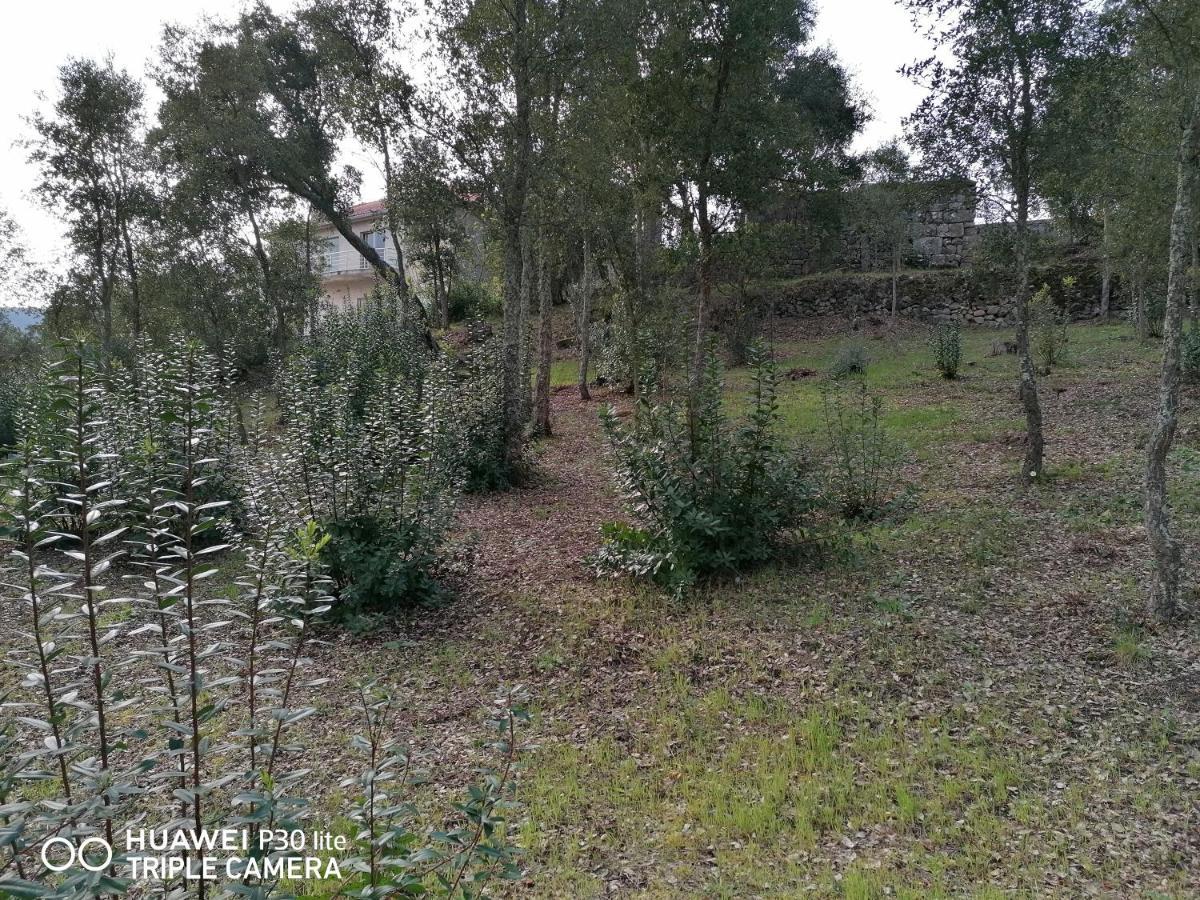 Vila Casa Douro Terrace Baião Exteriér fotografie