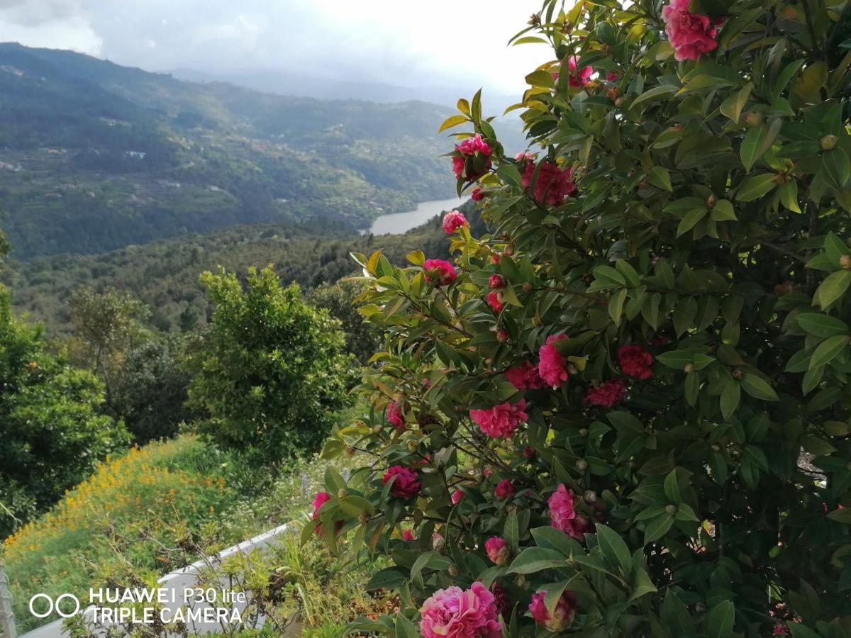 Vila Casa Douro Terrace Baião Exteriér fotografie